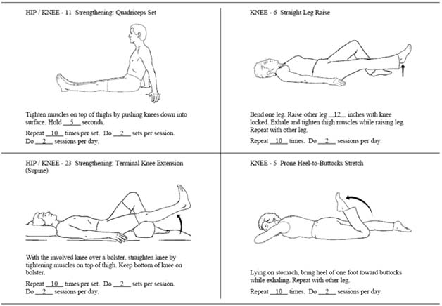 knee exercises